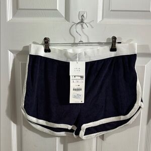 Zara Blue and White Athletic Shorts terry